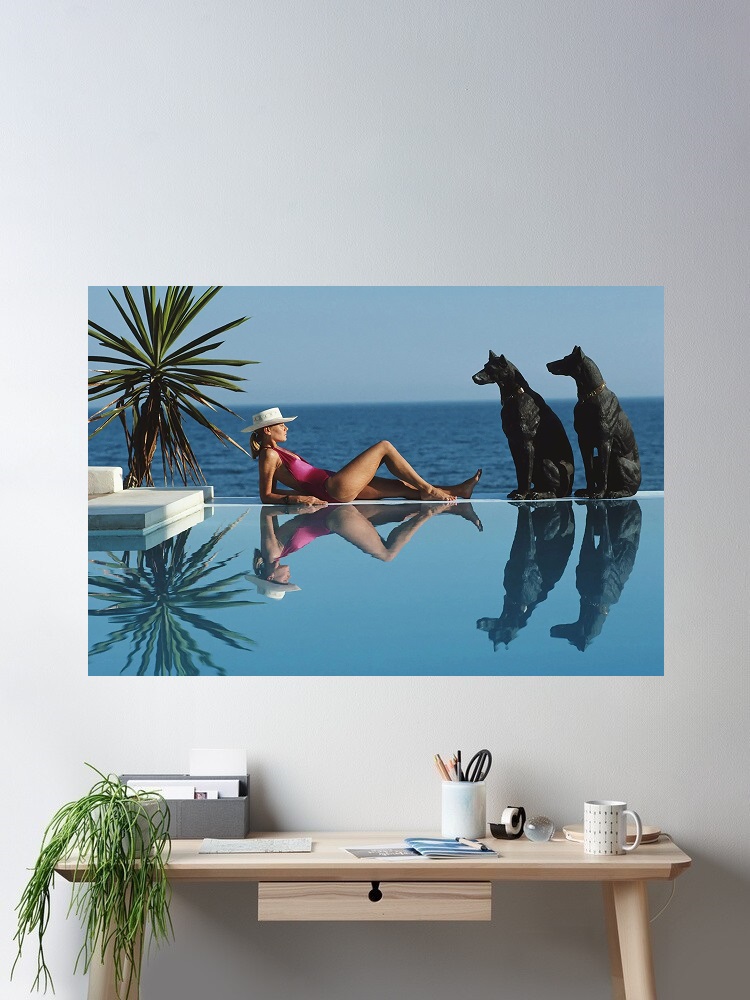 Retro Poolside Host Luxury Lif - Luxury Lifestyle Picture review and price